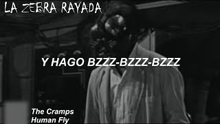 The Cramps - Human Fly (Sub Español)