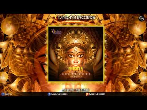 Acid Echoes - The Last Tribe