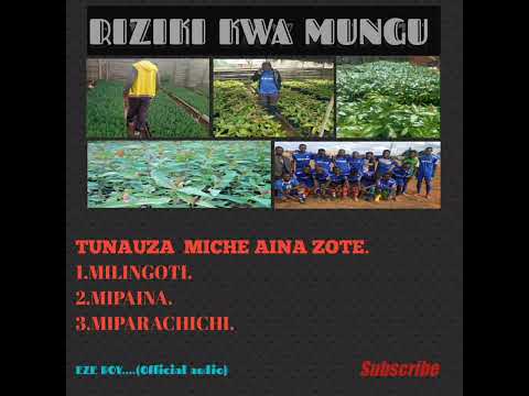 WIMBO MPYA EZE NA RIZIKI KWA MUNGU TUKIWAKILISHA NJOMBE KIFANYA