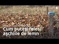 agricultura durabilă: Folosirea aşchiilor de lemn