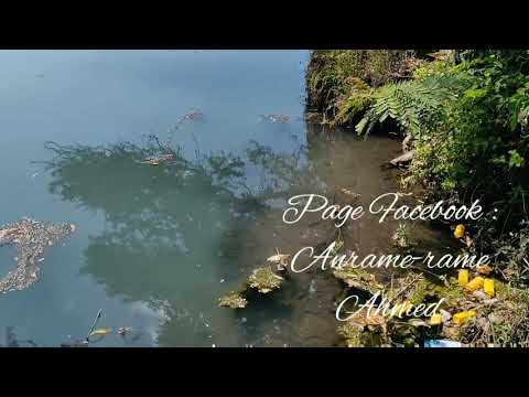 La rivière de Jomani DOMONI Anjouan en danger