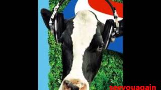 woorden zonder woorden   de kast