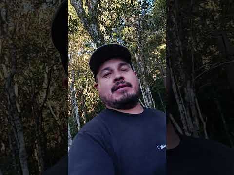 ESTOU NO PÉ DA CACHOEIRA QUE FAS DIVISA COM PRUDENTÓPOLIS PR E GUARAPUAVA PR, SALTO SÃO FRANCISCO