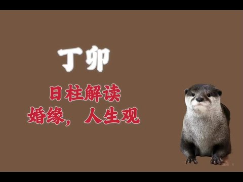 丁卯日桃花