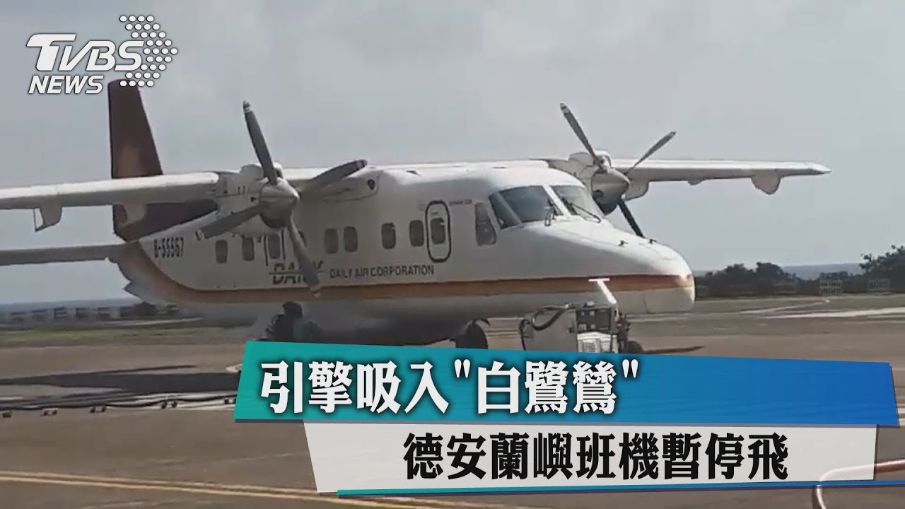 引擎吸入白鷺鷥　德安蘭嶼班機暫停飛
