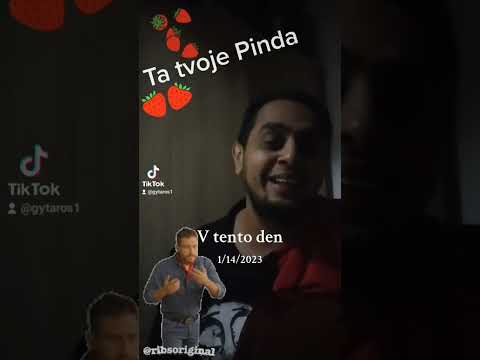 cover Ivan mládek Linda(ta tvoje Pinda)