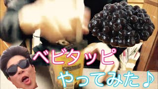 【ベビタピ】TikTokで話題？！ベビタッピゲームをしてみた！！