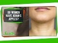 Do Women Have Adam's Apples?
