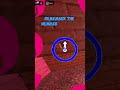 How to Survive KOOKOO.. #roblox #grace #doors #pressure #showcase