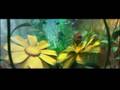 Bumble bee aqua
