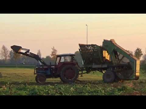 Landb. Vermeire - Kaprijke - Massey Ferguson 165 en Fähse Beta 1505