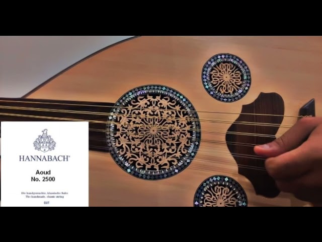 اوتار هانباخ امعاء + فضة مطلي ذهب 11 وتر