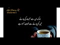 Chai Poetry In Urdu 2 Lines Tea Poetry Tea Poetry اردوشاعری