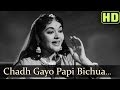 Chadh Gayo Papi Bichua Lyrics