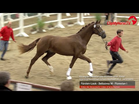 Hengst v. Fürsten Look - Belissimo M - Florestan I