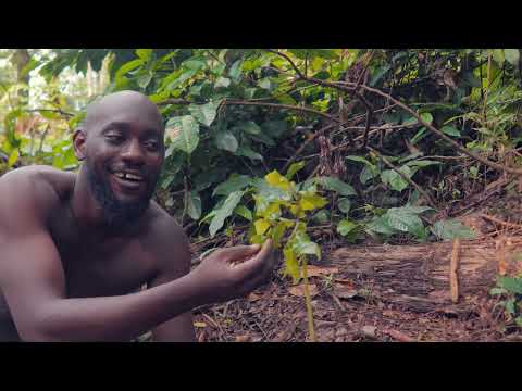 André Pépé Nzé - Andia (Clip officiel)