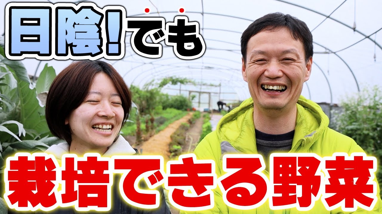 日陰でも育つ!光の要求度と畑の配置術