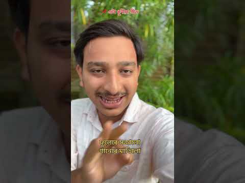 Exploring The Iconic Song From 's Album 'maya Cover