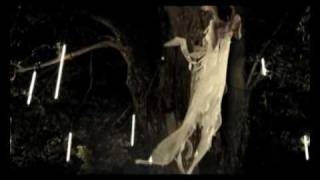 siddharta Baroko nov videospot