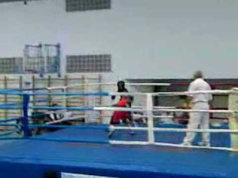 AMMAR AMARA THE BOSS