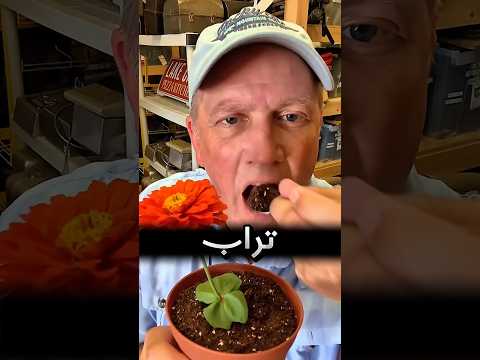 يخدعونك في الأفلام بهاي الطرق !! 😨 #youtubeshorts