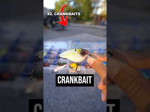 The BEST Lures for Fall Bass Fishing!