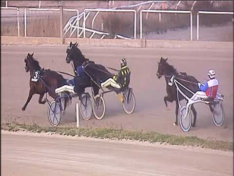 Trotto 21/01/2020 - 5ª corsa