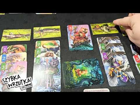 Szybka Wrzutka - Spór o Bór