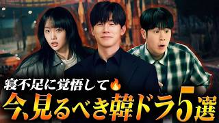 結局これが一番面白かった…今見るべき最新韓ドラ🇰🇷【2026年6月】