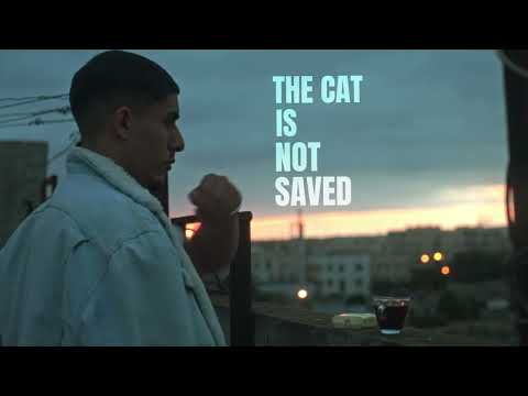 The cat is not saved