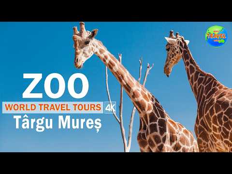Zoo Târgu Mureș 🦓 – Cea mai frumoasă grădină zoologică din România! 2025