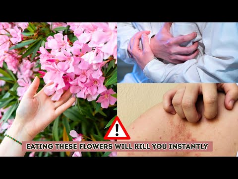 Non mangiare questi fiori. Sono fiori tossici che possono essere fatali. Mangiare questi fiori ti...