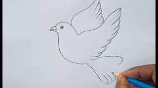 how to draw pigeon flying drawing easy step@DrawingTalent