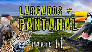 Largados no Pantanal - PARTE 11