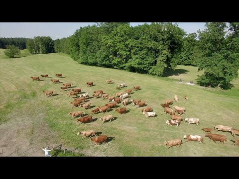 Video 7 aus  LandSelection Gut Grasleiten