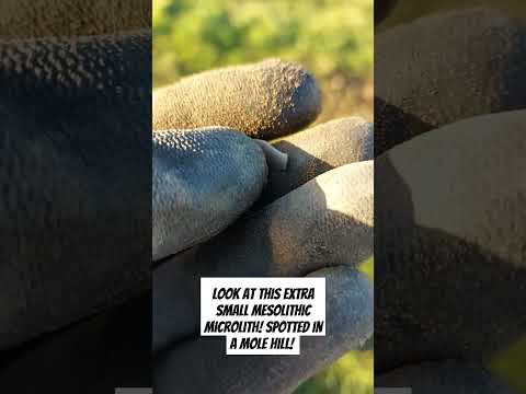 Mesolithic Hampshire. Horsham culture microlith.