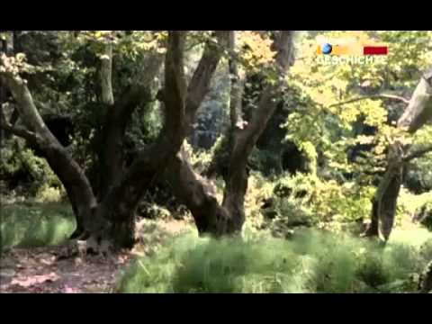 Stadt der Krieger - Sparta - Die Griechisch-persischen Kriege - Teil 1