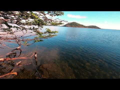 Video Lago Blanco Pesca Deportiva