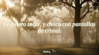 Renacer - Zoé (Con letra).