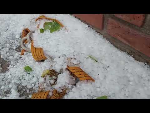 Así quedo la humada parte final después de la lluvia ☔️ en argentina la pampa.HUMADA 🇦🇷🇦🇷🇦🇷☹️☔️💀