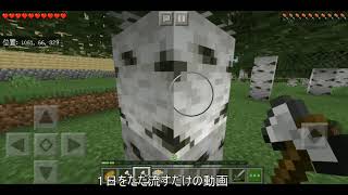 １月１１日　今度は動画が破損しました。