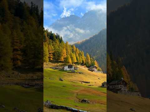 📍 Lago di Saoseo, Switzerland 🇨🇭 Follow for daily Swiss Content 🇨🇭