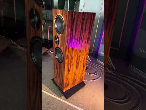 Living Voice & SJS Acoustica  #highend #hifiaudio #music #audio #audiophile #loudspeaker #hifi