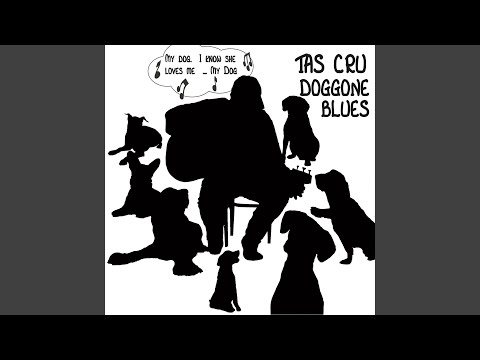 download lagu mp3 mp4 Tas Cru Doggone Blues, download mp3 Tas Cru Doggone Blues free download mp3, download mp3 Tas Cru Doggone Blues