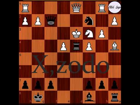 X,zodo organigrama (prod.  blck logo)  #winehousecr #raptico