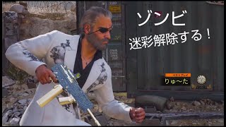 [bo6ゾンビ無言配信]ネビュラ迷彩が欲しい！！みんなのオススメの籠り場所ある？