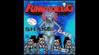 SHAKE THE GATE // New FUNKADELIC Album (Jolene)