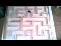 Mice maze experiment