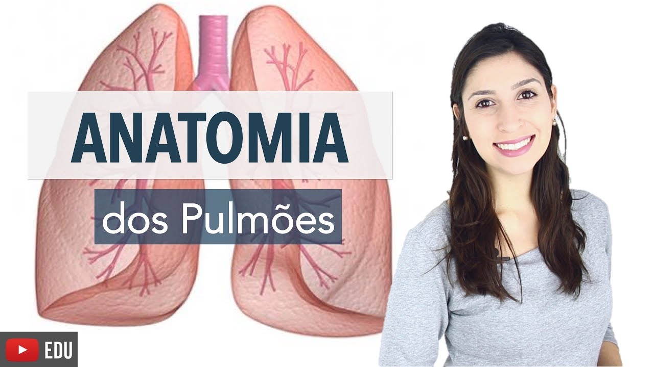 Sistema Respiratório 4/6: Anatomia dos Pulmões | Anatomia e etc