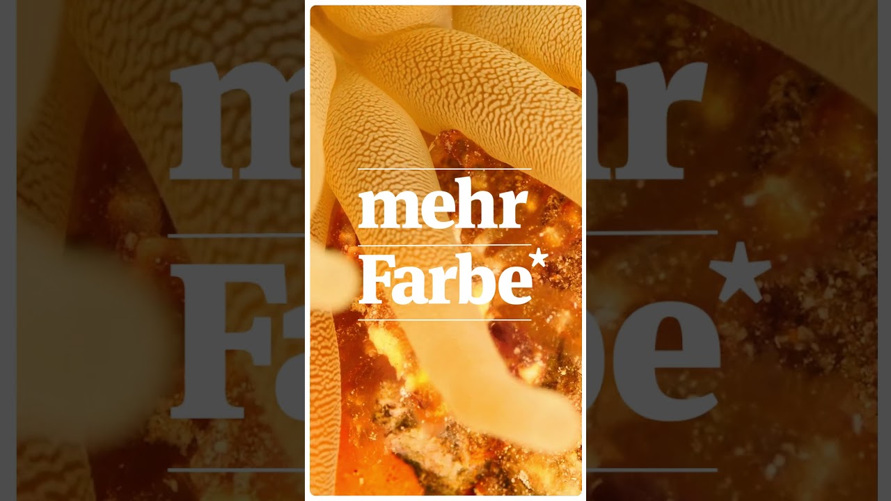 🎨 Mehr Farbe im Meer durch nachhaltige Fischerei 🎣